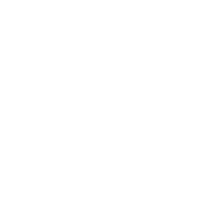 Composite Pin-type Insulator